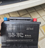 骆驼（CAMEL）蓄电池汽车电瓶12V免维护全国上门安装以旧换新 46B24 铃木天语雨燕本田杰德锋范启辰D50 实拍图