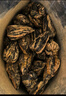 福茗源茶叶 滇红宝塔红茶 浓香特级2026新茶金丝茶叶自己喝茶叶袋装250g 实拍图