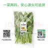 旭耕 有机蔬菜品种自选组合套餐 当季时令叶菜新鲜食材顺丰年货礼盒 8斤蔬菜【菜品自选8~12种】 实拍图