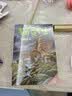 猫武士八部曲5 风霜蔽目 儿童动物小说中小学生课外阅读书必读猫武士系列原版成长动物小说故事书 暑期阅读   省钱卡 实拍图