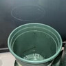 德沃多加仑盆7号含花托园艺绿植盆栽种植盆种菜盆花卉多肉塑料阳台花盆 实拍图
