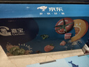 嘉宝（GERBER）原味+番茄牛肉+混合蔬菜味高铁米粉礼盒250g*3罐6月龄 实拍图