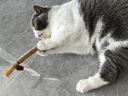pidan猫砂 天然钠基颗粒猫砂2.4kg*4包 矿砂结团迅速吸水性好低尘 实拍图