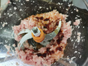 小熊（Bear）绞肉机小型家用 悬浮双刀 绞肉绞菜多功能一体机 绞馅机搅拌搅肉机碎肉机大容量粗细可调QSJ-F03X2 实拍图