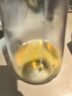 鲁花食用油 物理压榨 非转基因 玉米油6.18L 家用粮油 健康植物油 实拍图