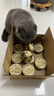 希宝猫罐头猫主食罐头鸡肉牛肝配方进口成猫宠物慕斯罐 70g*24罐 实拍图
