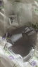 蕉下（beneunder）面膜防晒面罩遮全脸轻薄无痕防晒口罩脸基尼高颜骑行透气医美灰 实拍图