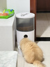 pidan猫砂 纯豆腐猫砂2.4kg*6包强力吸臭不易带出 可冲厕所非膨润土砂 实拍图