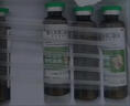 【育儿常备】江中 健儿消食口服液10ml*10支 健胃消食 脾胃虚弱 小儿健脾化积 消食积食 健脾胃 消食健胃 实拍图