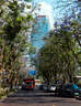 适马（SIGMA）16-300mm f3.5-6.7 DC OS ｜Contemporary 半画幅 远摄变焦镜头 旅游风光人像（RF卡口） 实拍图