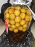 九江双蒸米香型白酒 自饮泡酒米酒43度桶装纯粮食酒5.1L散酒水果青梅泡酒 实拍图