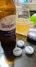 福佳（Hoegaarden）比利时进口白啤酒330ml经典白啤口感浓郁气泡绵密聚餐小麦精酿 送货上门：白啤330ml*12瓶（整） 晒单实拍图