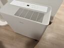 美的（Midea）54升小方物除湿机100㎡家用梅雨天抽湿机干衣机 地下室泵压上排水除湿器CF54BS/DA (支持鸿蒙智联) 实拍图
