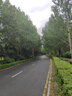 优全生活湿厕纸80抽*5包L码20*15cm湿纸巾擦屁股女性男私处洁厕巾可冲马桶 实拍图