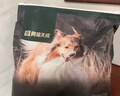 网易严选犬粮 全价高鲜肉冻干双拼幼犬成犬中大型狗粮通用 10kg 实拍图