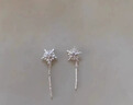 BJYLS999纯银针雪花耳钉女养耳洞流苏耳线耳环2026轻奢高级耳饰 【999足银耳链】雪花耳线一对 实拍图
