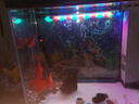 森森（SUNSUN）鱼缸灯变色LED灯潜水照明水族箱造景灯龙鱼防水灯管 （三色可变）60cm双排灯珠9W（带开关） 实拍图