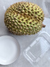 大卫马桶刷无死角家用壁挂厕所卫生间蹲坑长柄刷器H5+挂钩Y6组合装 实拍图
