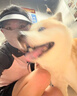 麦富迪狗狗零食 奢华营养鸭肉干400g成幼犬磨牙训练奖励解馋宠物零食 实拍图