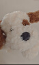 名创优品（MINISO）趴姿小号软趴趴小狗毛绒玩具玩偶公仔抱枕生日儿童节礼物女 棕色 实拍图