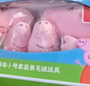 小猪佩奇玩偶毛绒玩具陪睡玩偶安抚公仔3岁女孩玩具生日六一儿童节礼物 实拍图