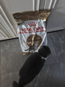 皇家美短成猫粮 ASA31 通用粮 12月以上 10KG 实拍图
