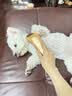 HELLOJOY狗狗拉毛梳泰迪美容蓬松造型猫梳子宠物狗毛猫咪毛梳毛刷针梳用品 实拍图