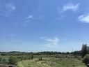 南国纯椰子粉16gX20包/袋海南特产手信生椰拿铁咖啡伴侣早餐椰奶粉 实拍图