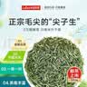 乐品乐茶明前特级毛尖绿茶2026新茶嫩芽春茶自己喝茶叶礼盒装250g送长辈 实拍图