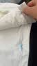 爱莉儿&欧萝拉女大童内裤青少年12-15岁少女平角纯棉女童四角裤女孩初中8287L 实拍图