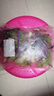 绿食者 蔬菜沙拉150g*3包 生吃蔬菜组合西餐色拉生菜健身轻食沙拉新鲜 沙拉菜3包-无沙拉酱 实拍图
