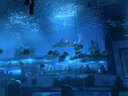 亿力【专业级】工业吸尘器大吸力开荒保洁工厂车间 商用大容量强力吹吸一体机除尘吹尘吸水机【价保618 实拍图