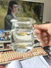 物生物（RELEA）玻璃杯男女士茶水分离杯耐高温办公泡茶杯带把高硼硅水杯花茶杯子 实拍图
