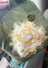 babycare金山茶花纸尿裤S58片(4-8kg)新生儿婴儿尿不湿超薄透气轻柔花苞裤 实拍图