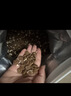 醇粹黑标鸭肉梨狗粮全价中大型犬狗粮金毛拉布拉多阿拉斯加15kg 实拍图