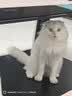 卫仕美毛爆爆袋猫干粮成猫幼猫全价冻干鲜肉猫粮1.5kg*2 实拍图