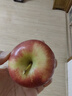 苹果先生Mr Apple 新西兰皇后红玫瑰苹果12粒礼盒单果150g起 源头直发  实拍图