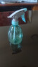 喷壶浇花浇水喷雾器气压式喷水壶家用园艺养花500ml 南瓜喷壶透蓝【1个装】 实拍图
