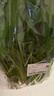 大菠菜300g 实拍图