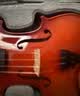 红棉（Kapok）实木小提琴新手入门练习学生儿童成人通用初学者考级NS-20  1/2 实拍图