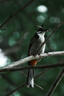 适马（SIGMA）16-300mm f3.5-6.7 DC OS ｜Contemporary 半画幅 远摄变焦镜头 旅游风光人像（RF卡口） 实拍图