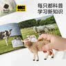 babycare&bctoys儿童玩具实心仿真农场动物桶动物模型奶牛绵羊金毛犬 实拍图