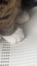 Apple/苹果 iPad mini (A17 Pro) 8.3英寸 平板电脑(256G WLAN版/mini7/MXND3CH/A)星光色 实拍图