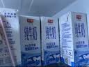 光明纯牛奶200ml*24盒优质乳蛋白营养早餐奶家庭分享装送礼量贩装 实拍图