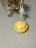 欢宠网猫玩具猫咪逗猫棒猫薄荷球不倒翁自嗨神器自己玩解闷猫猫小猫幼猫 实拍图