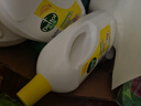 滴露（Dettol）衣物消毒液除菌柠檬3L 99.9%杀菌除螨内衣儿童衣服消毒水配洗衣液 实拍图