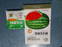 大禹懒汉西瓜种子苗特大适合南方早熟懒人8424麒麟瓜美都无籽水果蔬菜 懒汉王西瓜种子50粒 实拍图