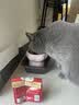 弗列加特猫粮 全价鲜肉天然粮 肠道养护配方 成猫粮鸡肉味2kg【宠物金选】 实拍图