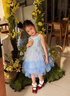 迪士尼爱艾莎公主裙子女童连衣裙2026春季新款生日礼服网纱裙儿童衣服 实拍图