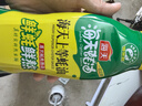 海天 上等蚝油590g 挤挤装 蚝油调料家用鲜味调味品 实拍图